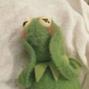 Meet your Posher, Abi